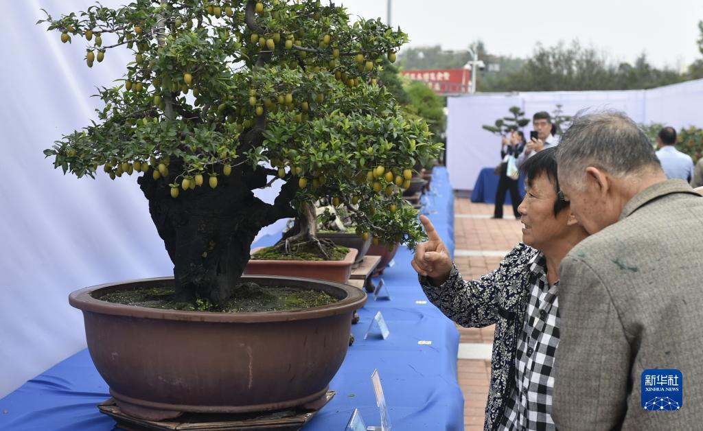 dt游戏热门